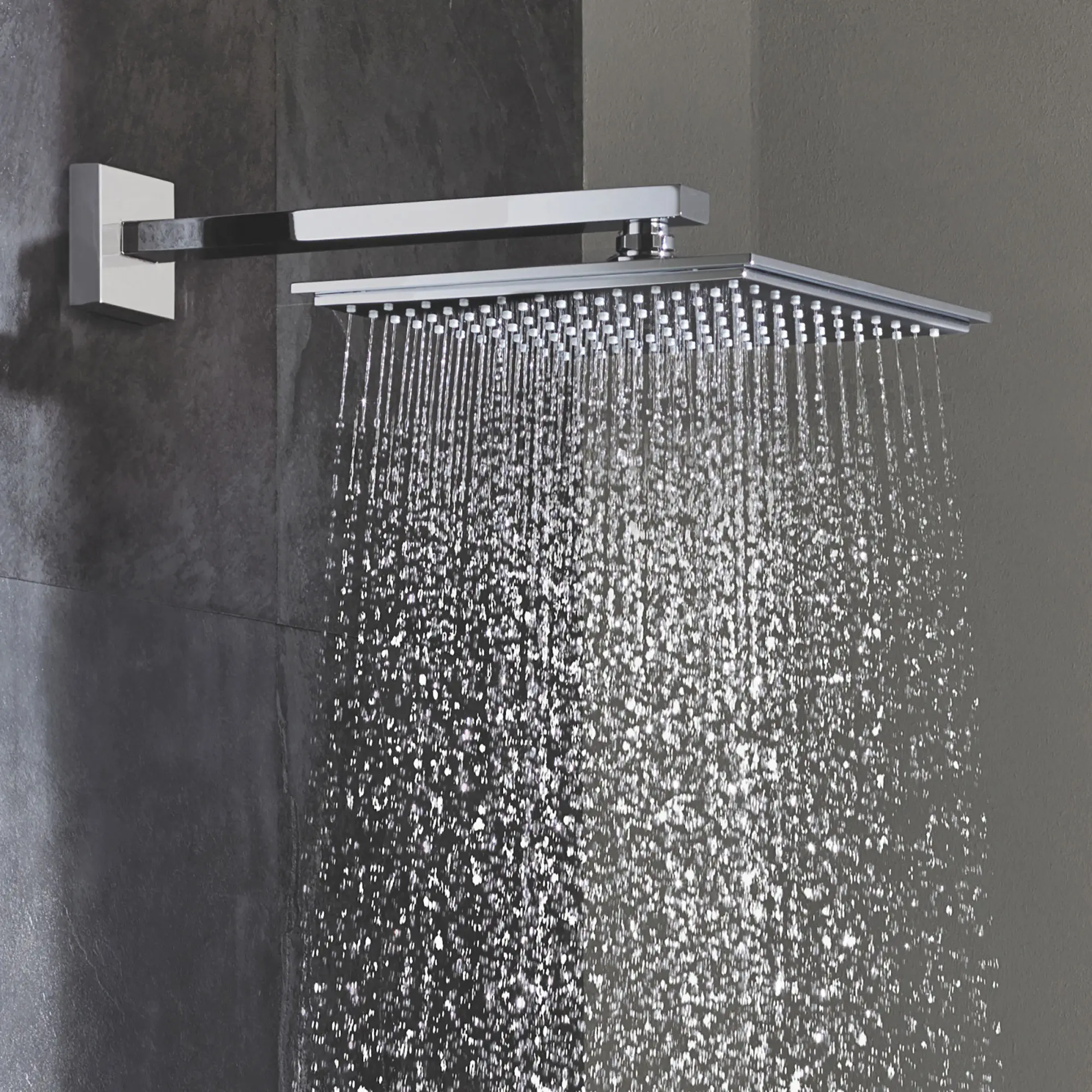 Stick Shower Head - 1 Spray, 9.5 L/min (2.5 gpm)