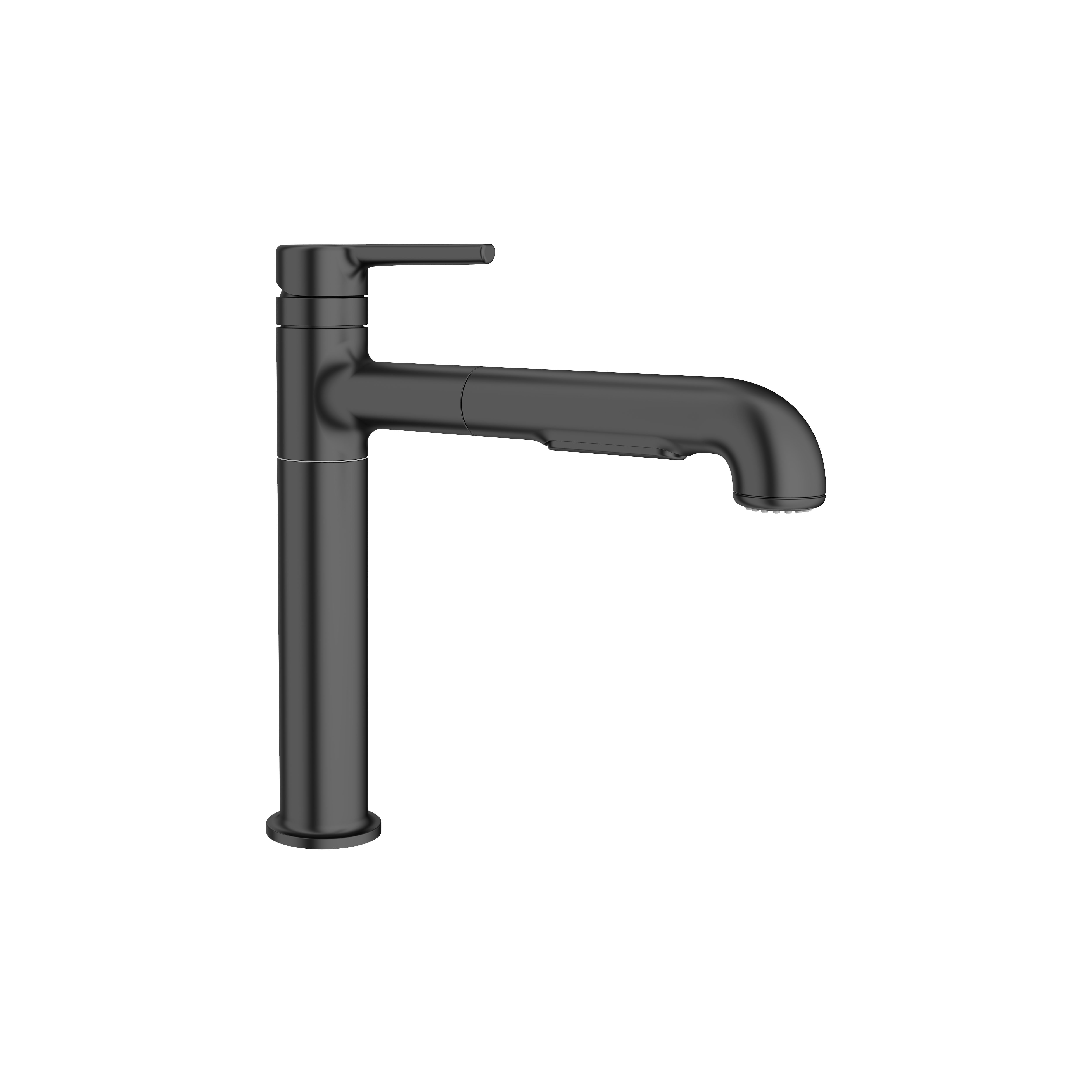 Studio™ S Pull-Out Dual-Spray Kitchen Faucet