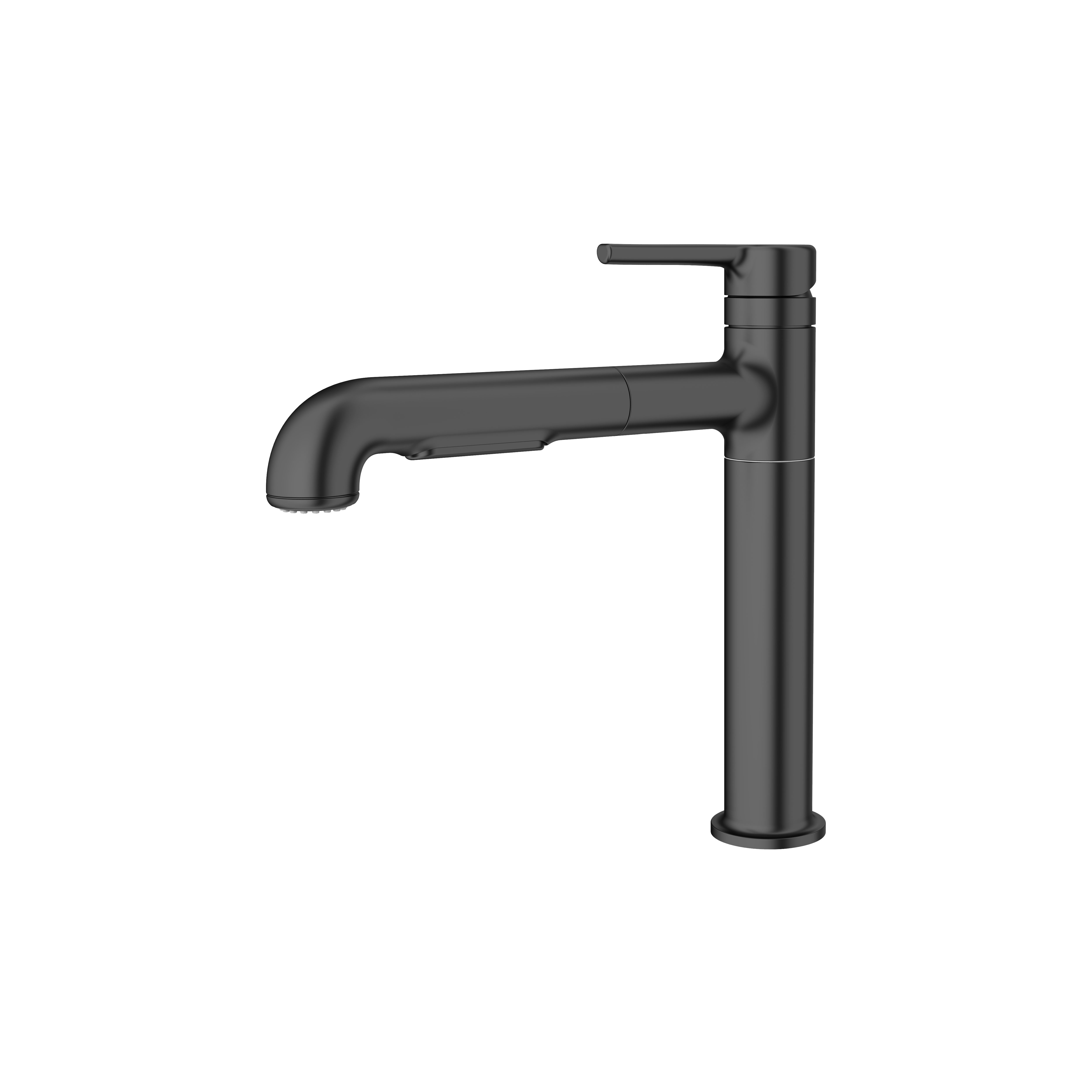 Studio™ S Pull-Out Dual-Spray Kitchen Faucet
