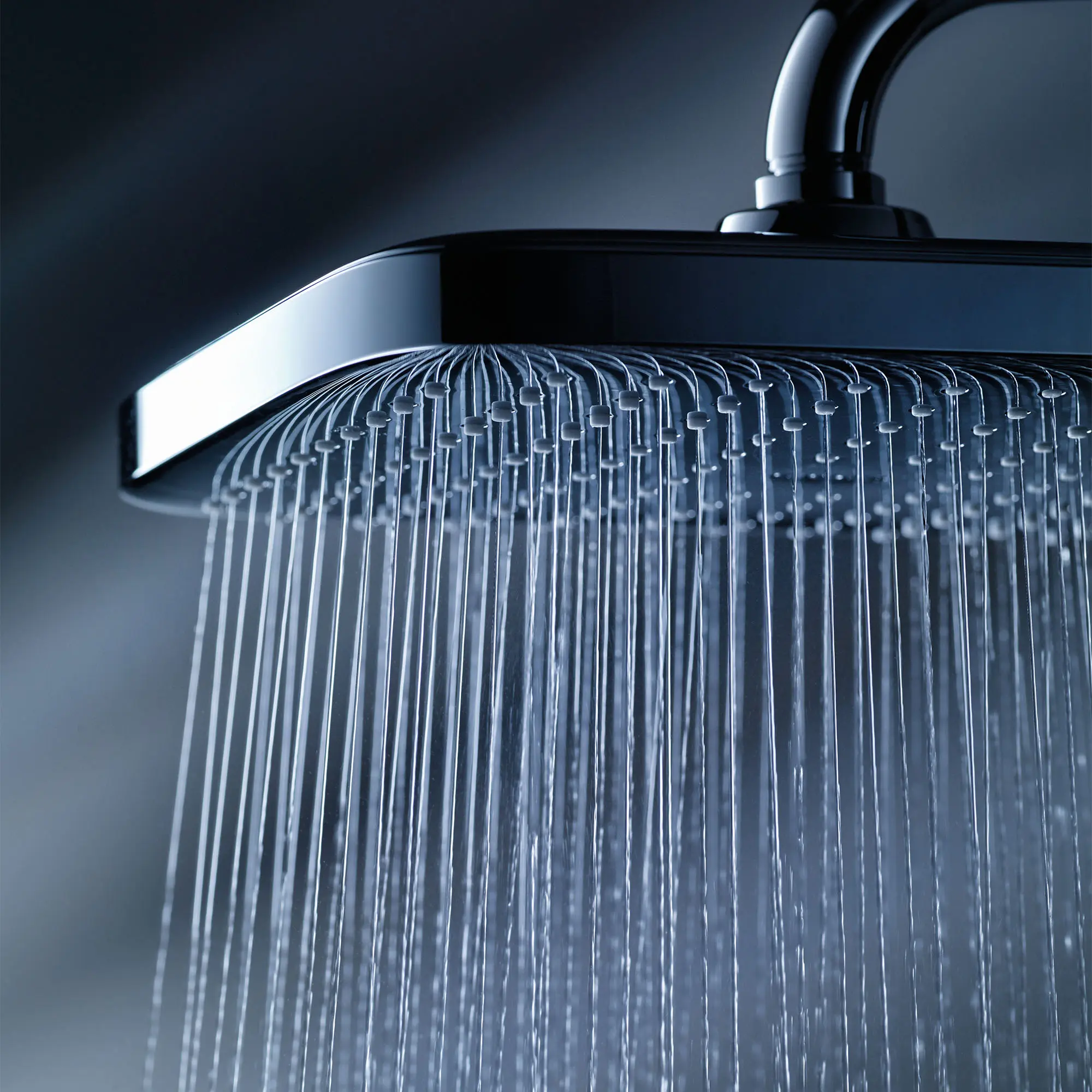 250 Rain Showerhead, 9 7⁄8" - 1 Spray, 1.75 GPM (6.6 L/min)