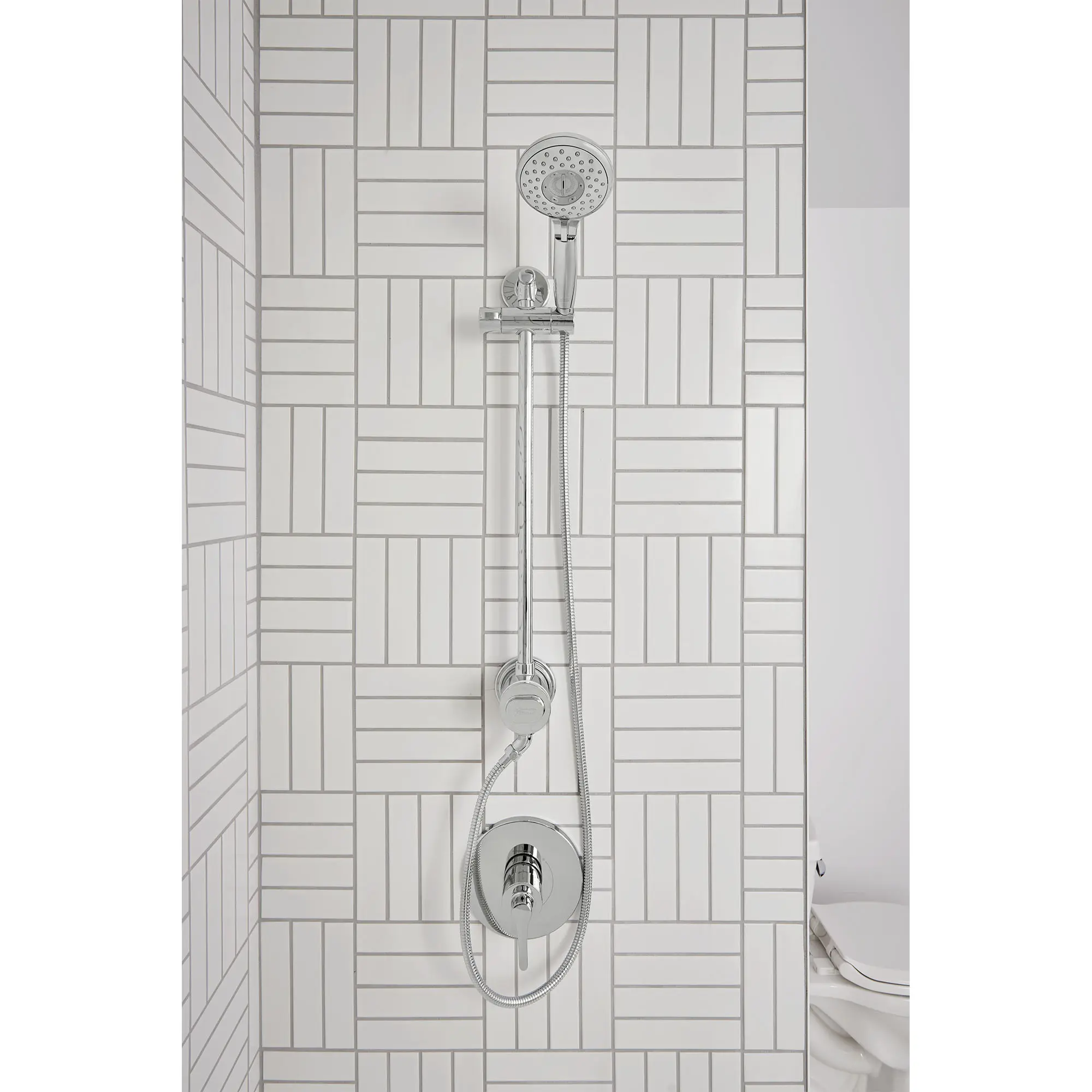 Spectra Filtered 4-Spray Hand Shower Rail System